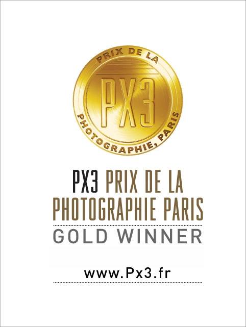 PX3 Prix de la Photographie Paris gold competition emblem